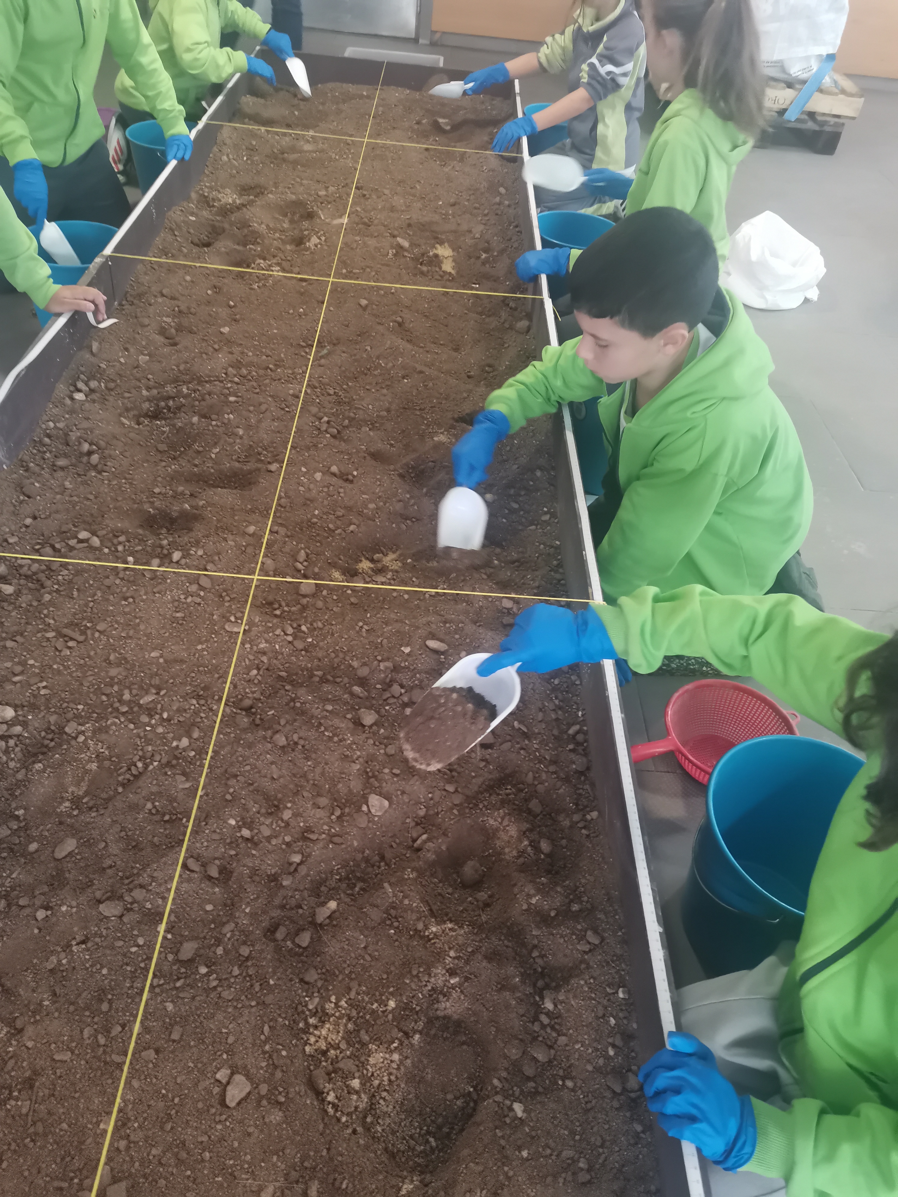 Semana de la Ciencia 2025