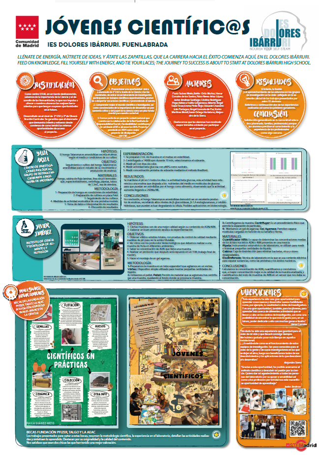 Poster Instituto de Educación Secundaria (IES) Dolores Ibarruri de Fuenlabrada estuvo presente en el Congreso STEM